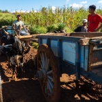 fietstocht Antsirabe